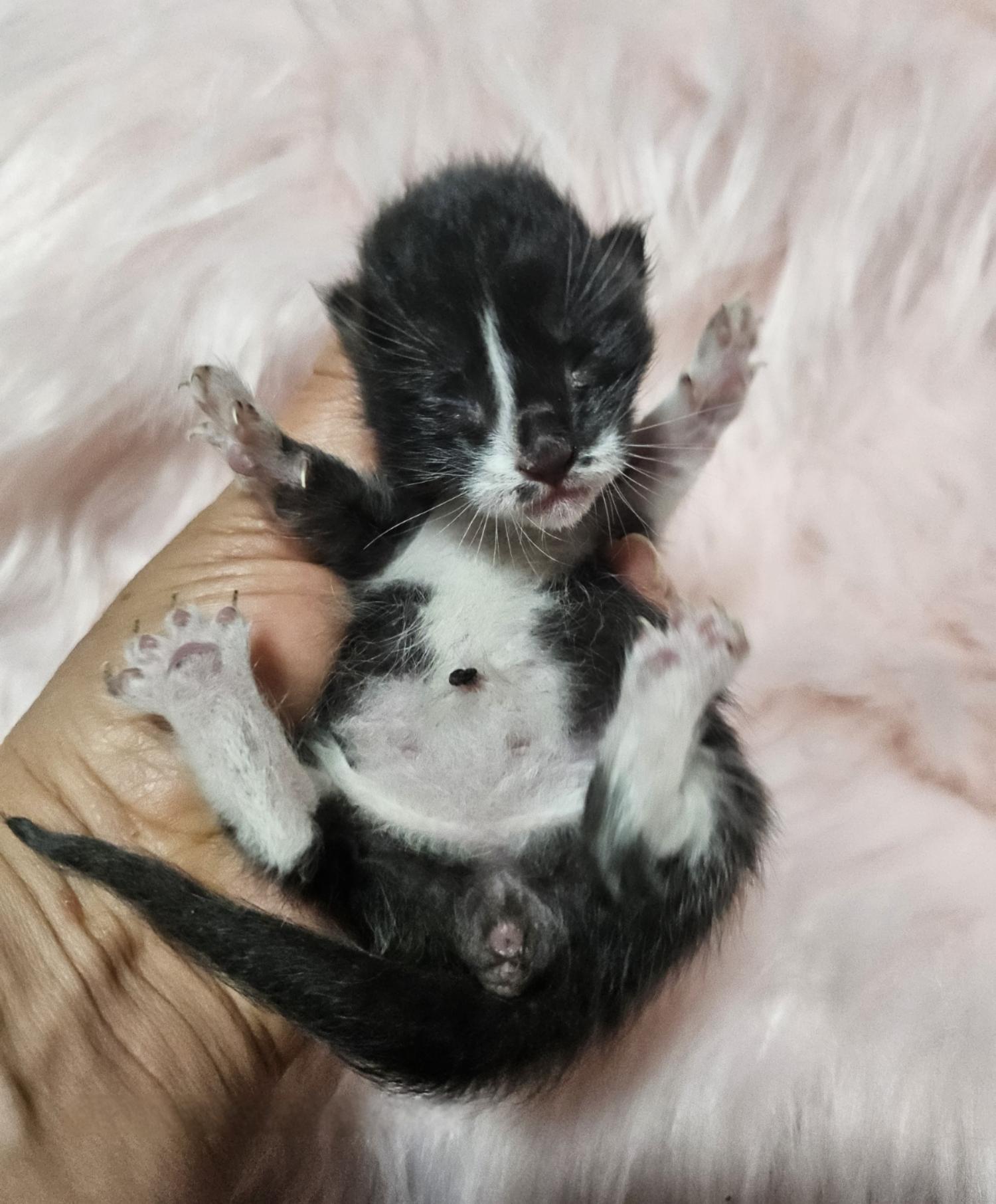 울산유기동물보호센터_431372202500123